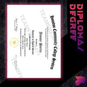 Diploma/Degree