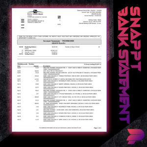 Snappt Bank Statements